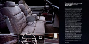 1980 Ford Thunderbird (Rev)-04-05.jpg